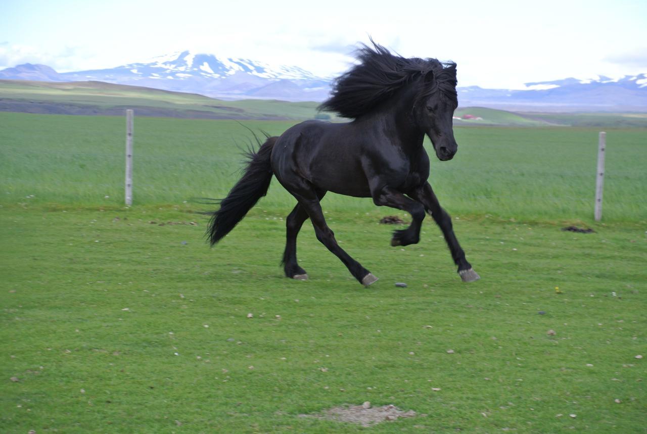 Hekla Adventures Hvolsvöllur Exterior foto